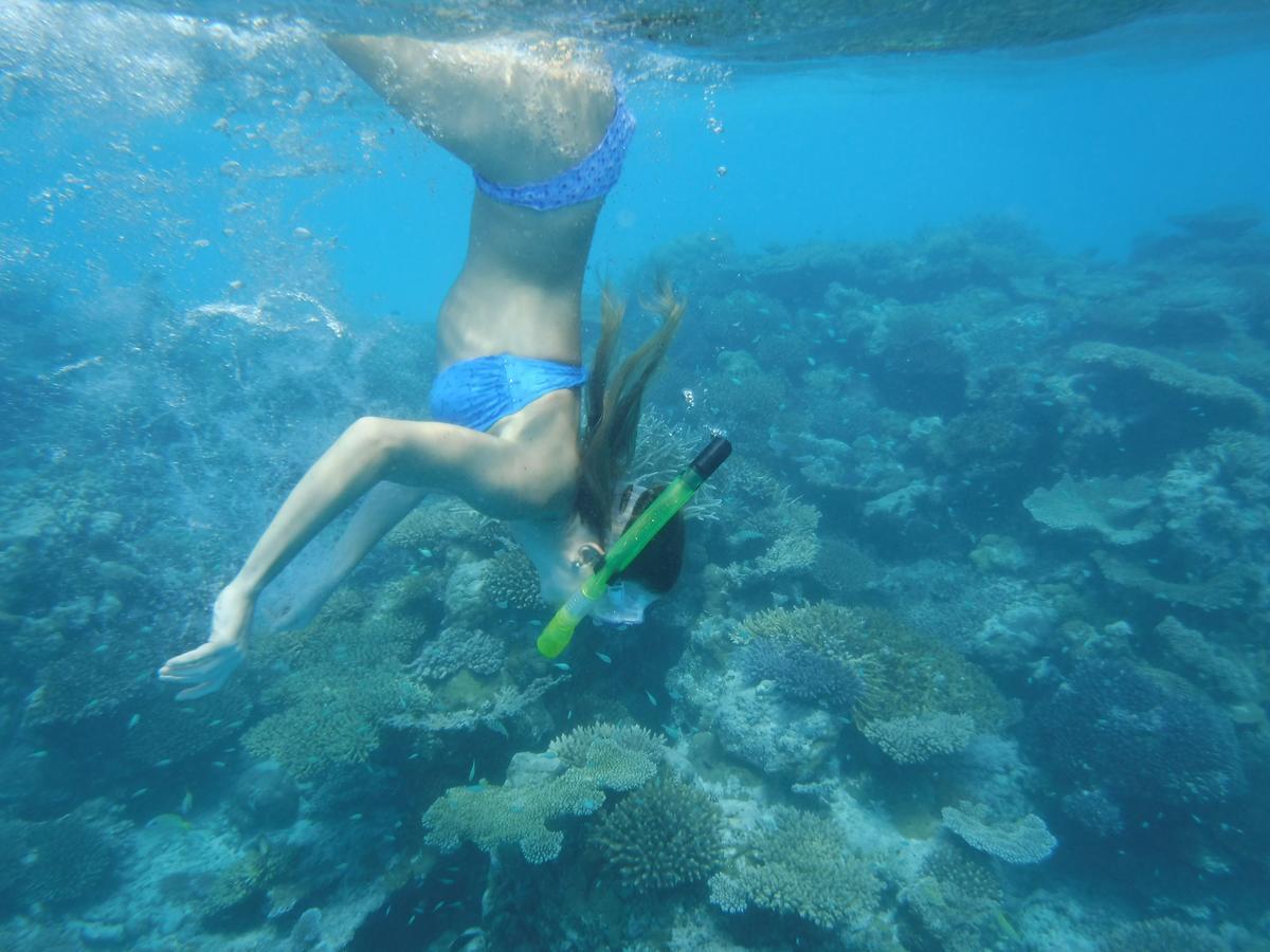 Surf Trip Maldives Hotel Thulusdhoo Exterior photo